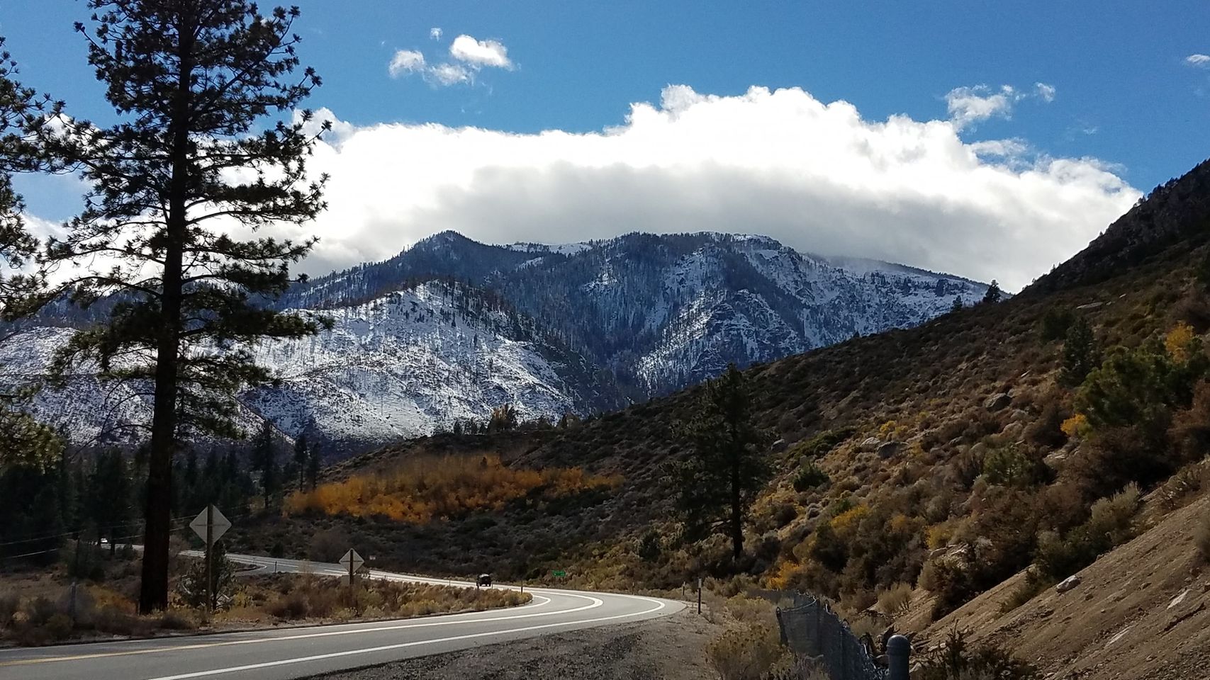 Mountain valley and forest in Alpine County, California